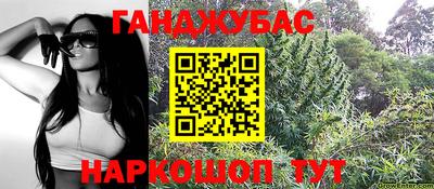 крисы Лесосибирск