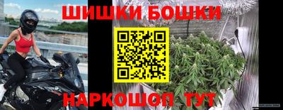 крисы Лесосибирск