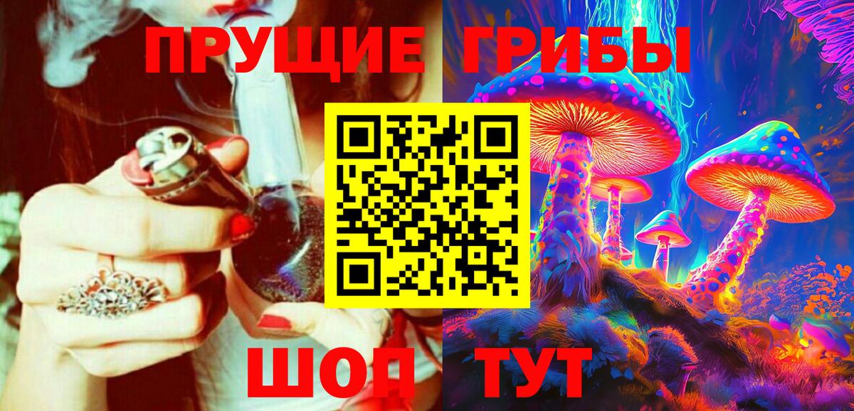 Галлюциногенные грибы Psilocybe Удомля