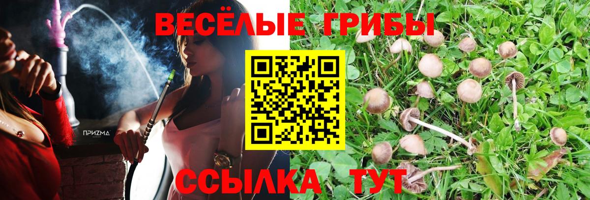 Удомля  Галлюциногенные грибы мухоморы  Вход с VPN 